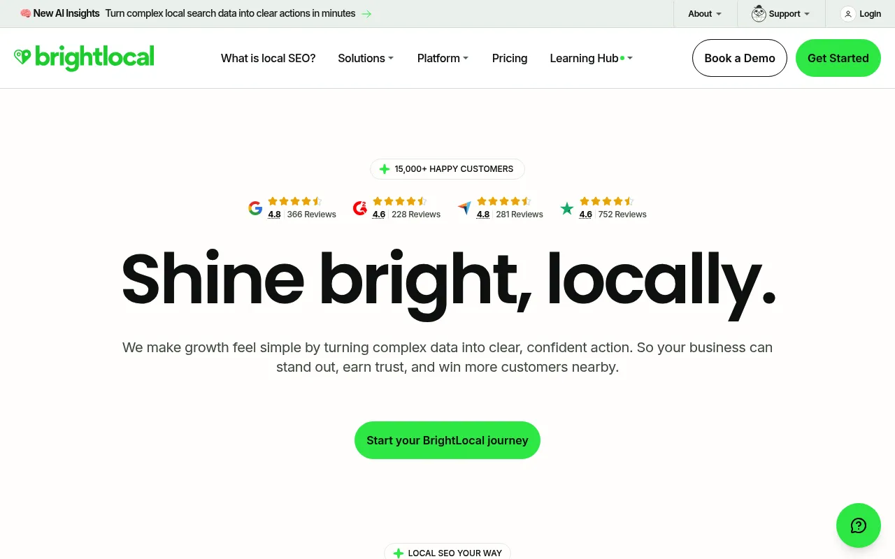 BrightLocal screenshot