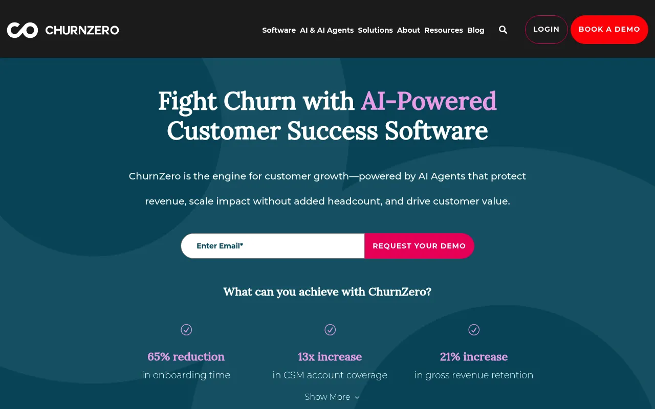 ChurnZero screenshot