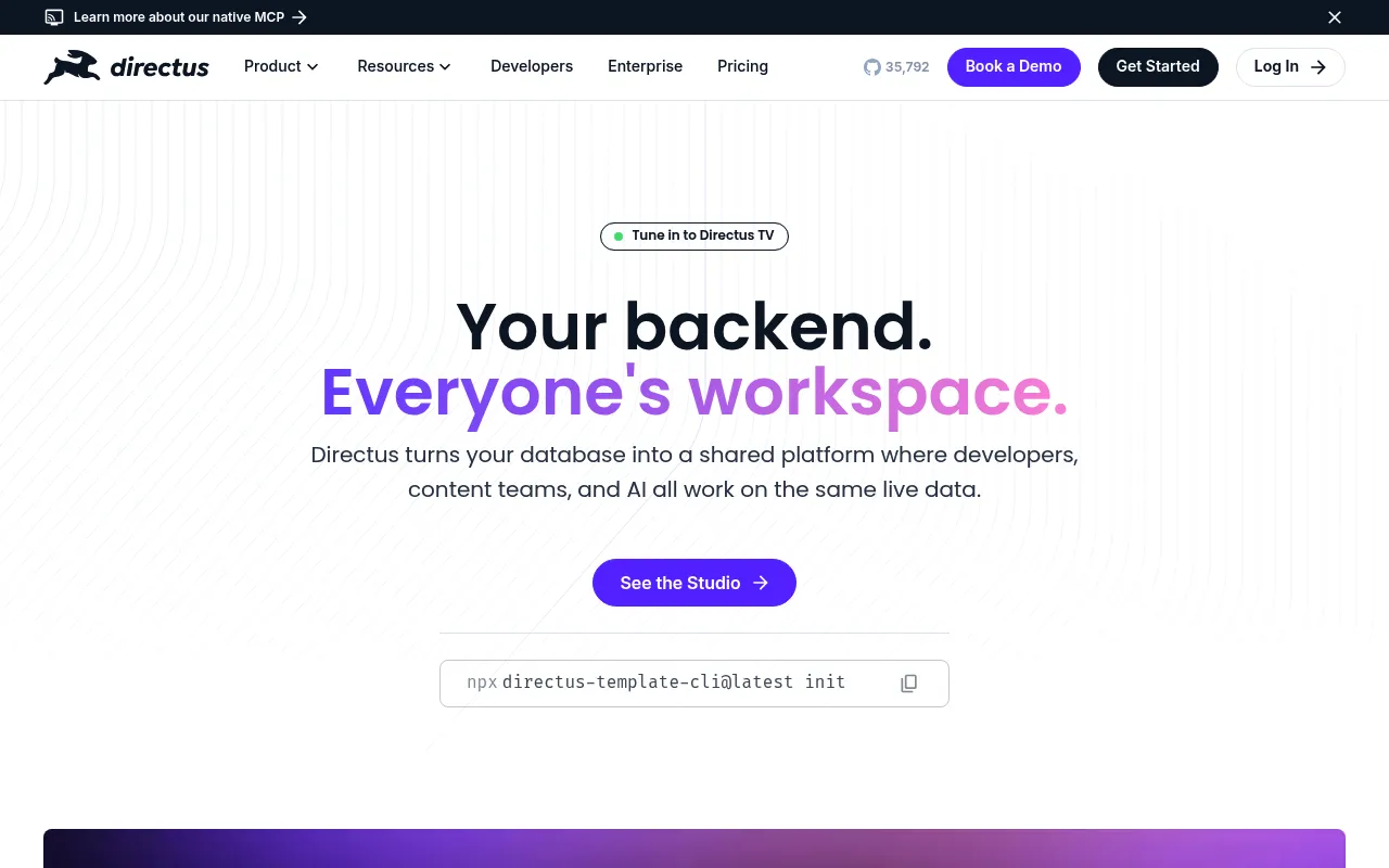Directus screenshot