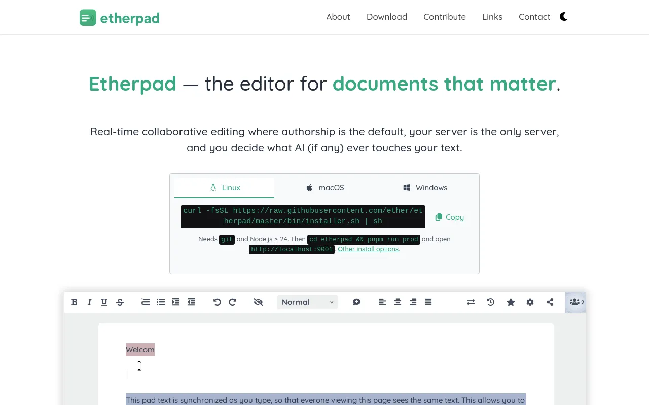 Etherpad screenshot