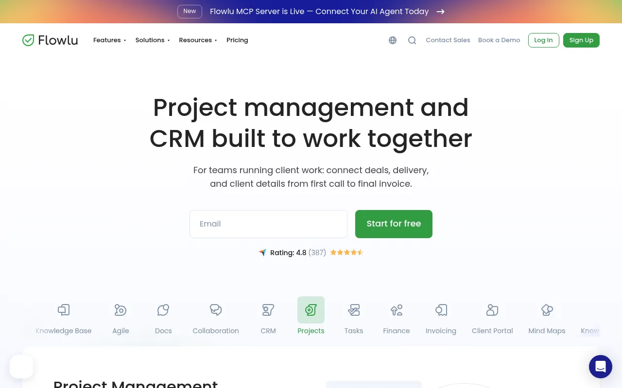 Flowlu screenshot
