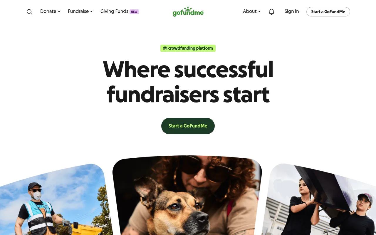 GoFundMe screenshot