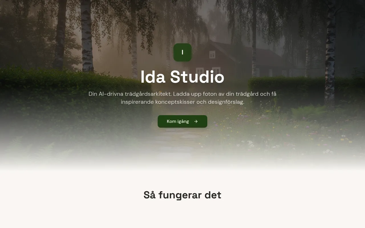 Ida Studio screenshot