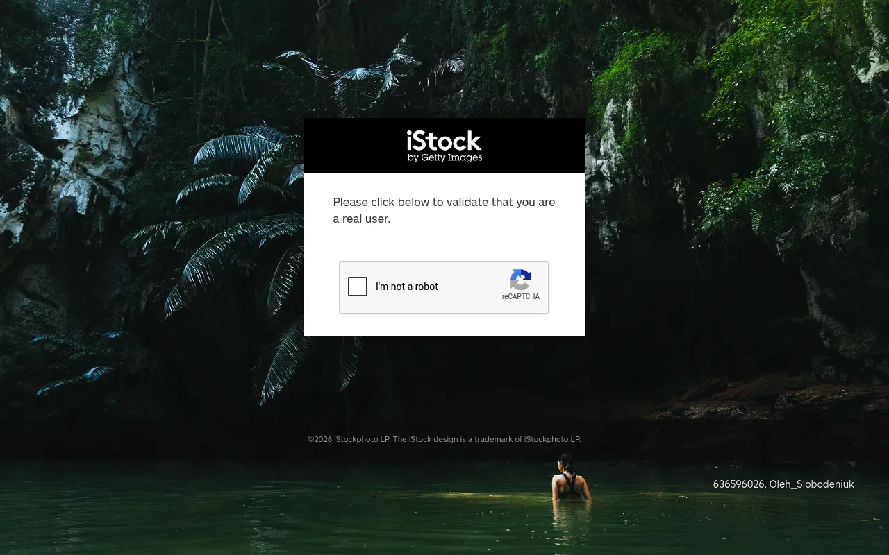 iStock screenshot