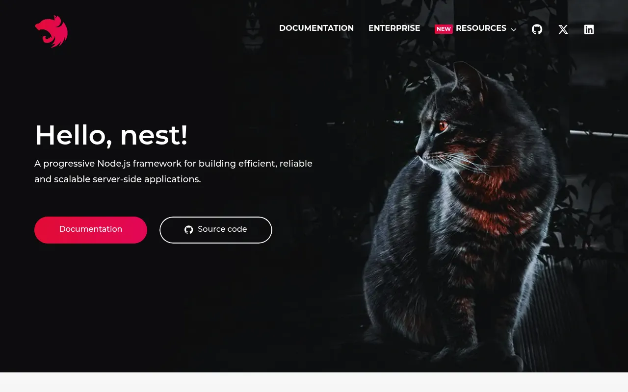 NestJS screenshot