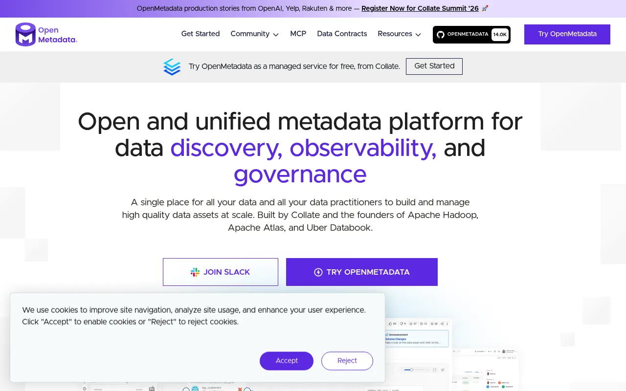 OpenMetadata screenshot