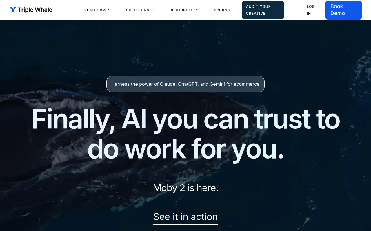 Triple Whale screenshot